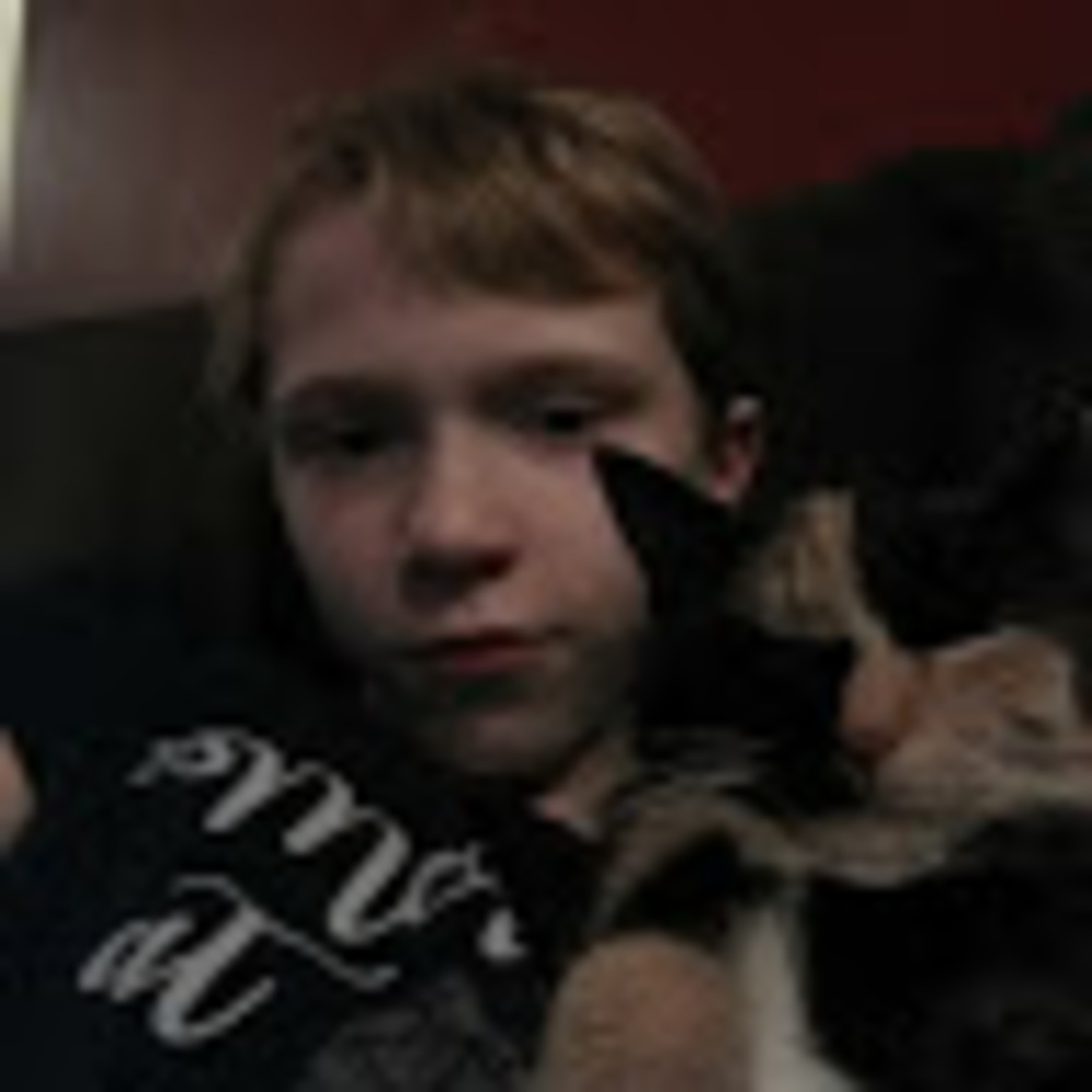 Meet your Posher, Petlover